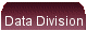 Data Division