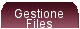 Gestione Files